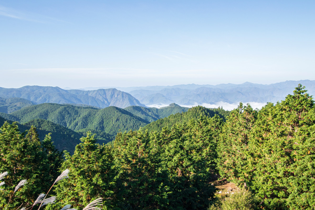 フィニッシュ地点の大雲取山頂からの眺め。果てしなく続く山並みが熊野の自然の雄大さを物語る