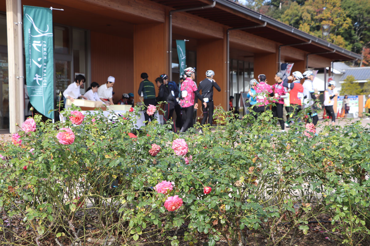 バラが咲く富士川クラフトパークではひと休憩を挟む