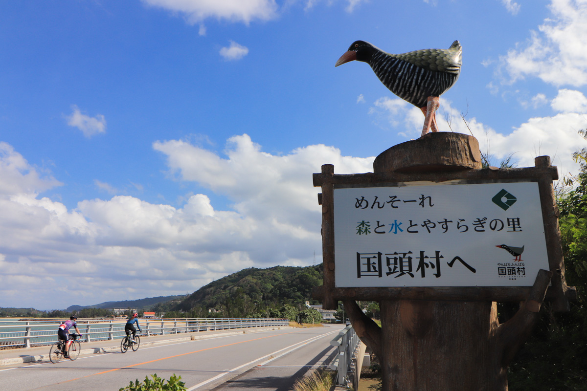 やんばるの入り口、国頭村へと入る。ヤンバルクイナには会えるかな？