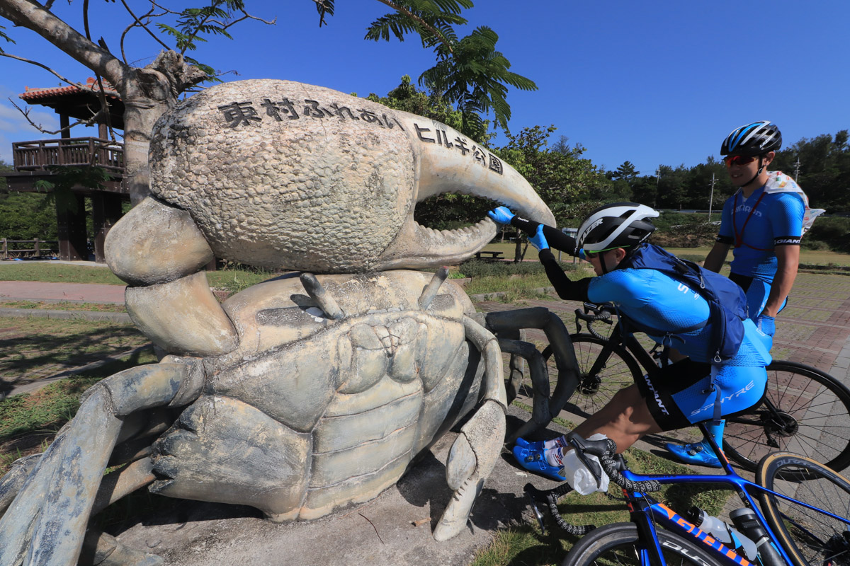 慶佐次のマングローブ公園でカニの像と戯れる野寺監督