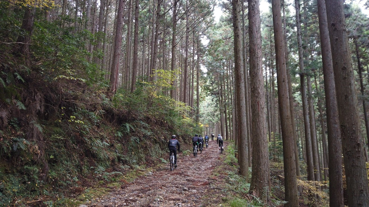 濡れた林道の登りは滑りやすくテクニックが必要。