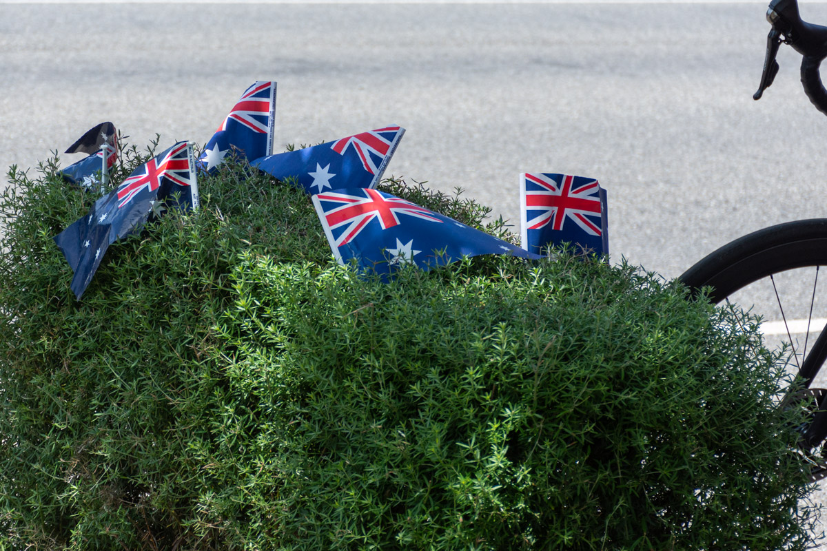 植え込みにもたくさんのオーストラリア国旗が