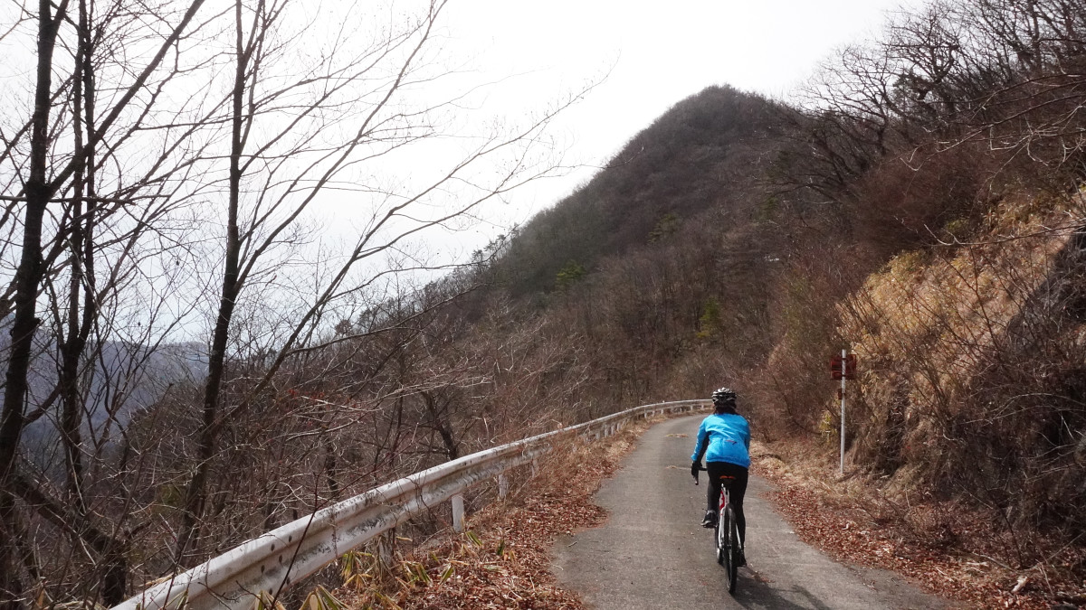 登ってきた道を下る。行きと帰りでは景色が違って見えるのがポイント。