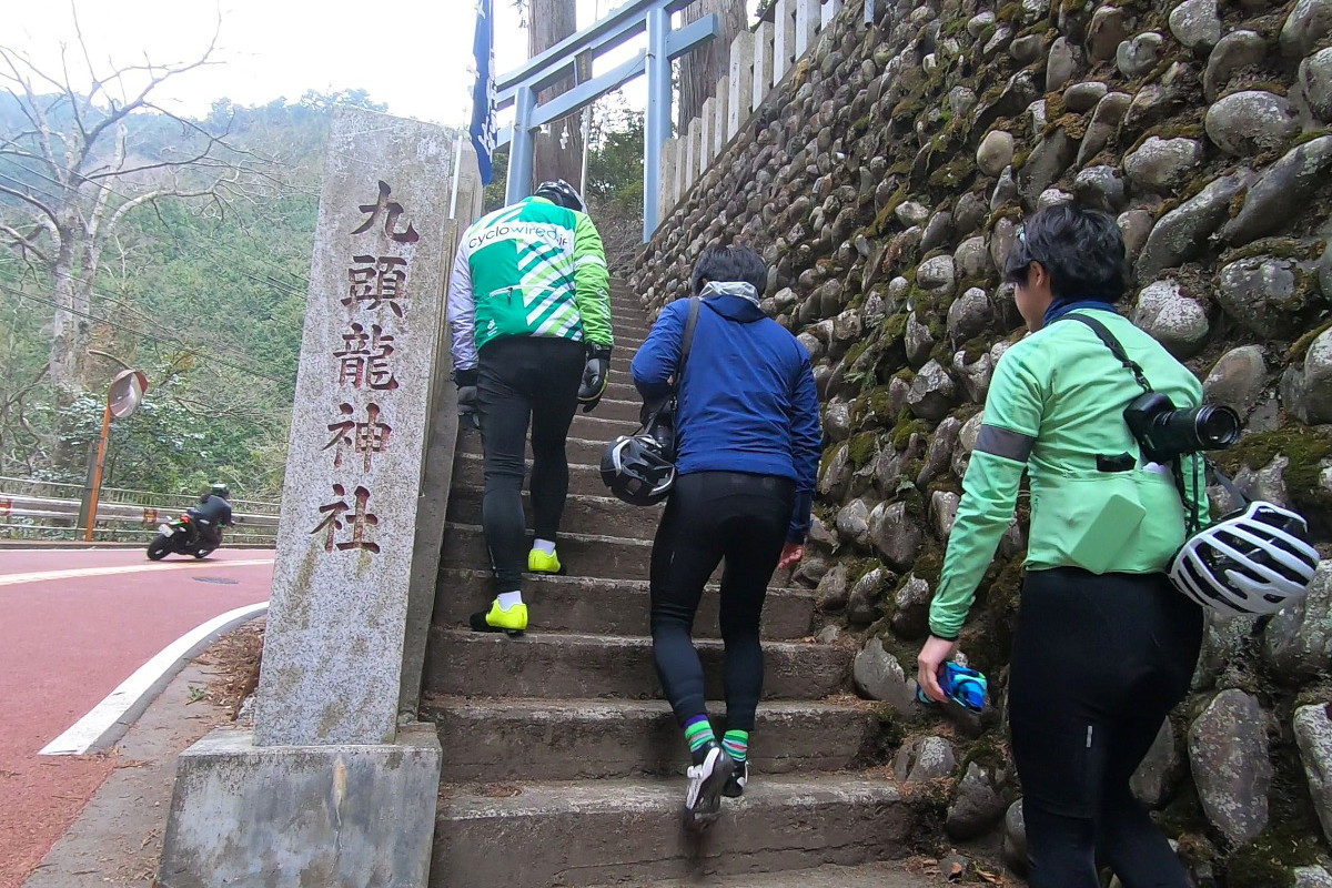 ブツクサ言いつつ会長の後ろに続き、九頭竜神社へ。確かにこれまでこの階段を登ることは無かった。
