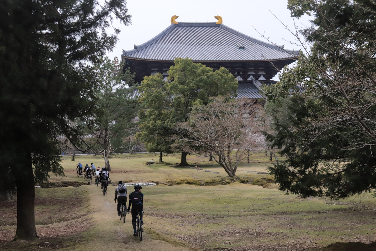 東大寺大仏殿を眺めながら遊歩道を行く