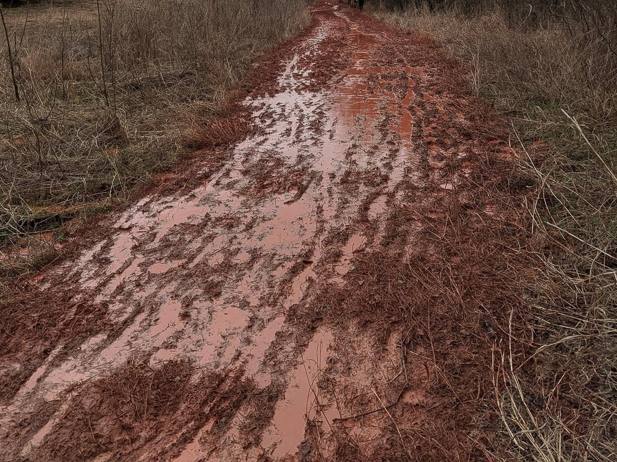 まさに「赤い泥道」。こんな状態の道が、相当の距離で続くのだ