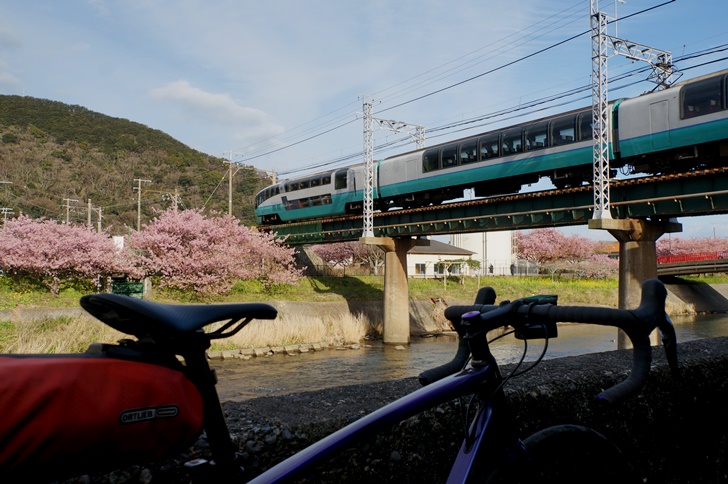 こちらは引退直前の特急スーパービュー踊り子251系!愛車と河津桜を入れての一枚
