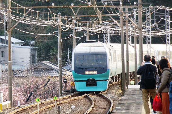 河津駅に入線する251系スーパービュー踊り子!これに乗るためにここまでやって来たと言っても過言ではない…
