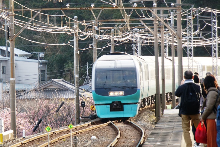 河津駅に入線する251系スーパービュー踊り子！これに乗るためにここまでやって来たと言っても過言ではない…