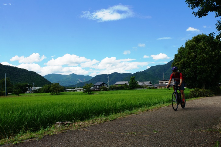 廃線敷はよく整備されたサイクリングロードになっているので、テツじゃない方でも気持ち良く走れるコースです！