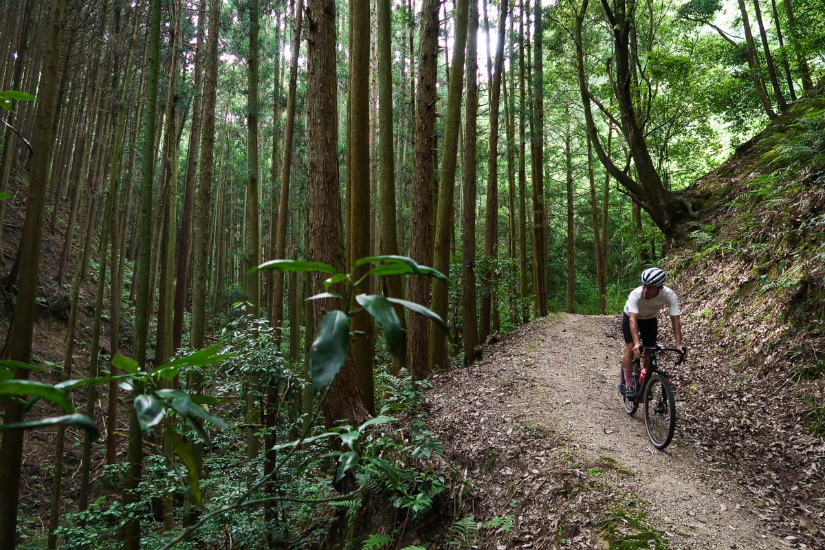 これまで太めのタイヤを履いたロードバイクで苦戦していた下りが気持ちいい