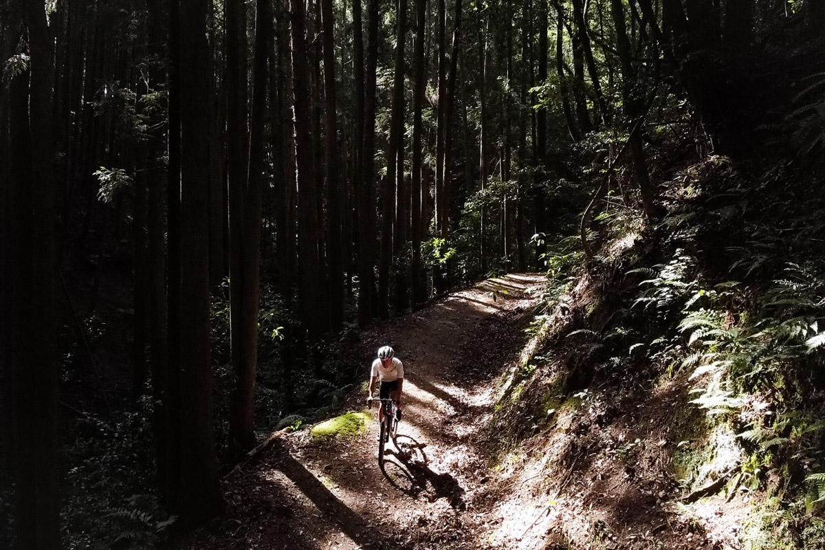 自宅を出て、舗装路と未舗装路を織り交ぜながら山に向かう