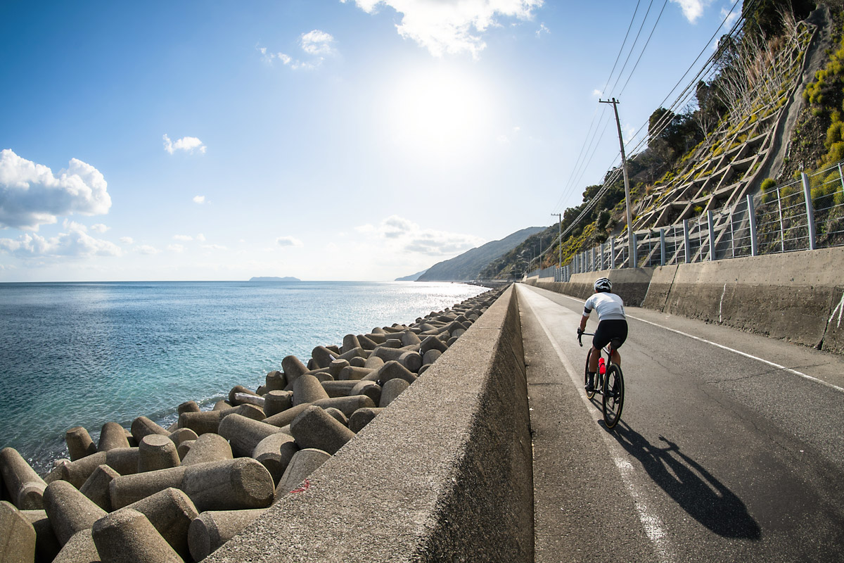 淡路島モンキーセンター周辺は直線的な平坦路が続く