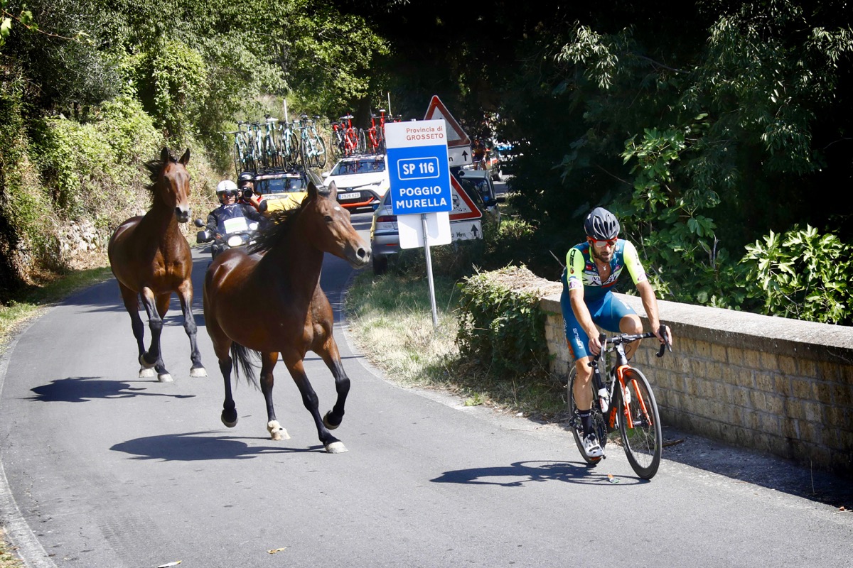 リッカルド・スタッキオッティ（イタリア、ヴィーニザブKTM）を馬2頭が追走