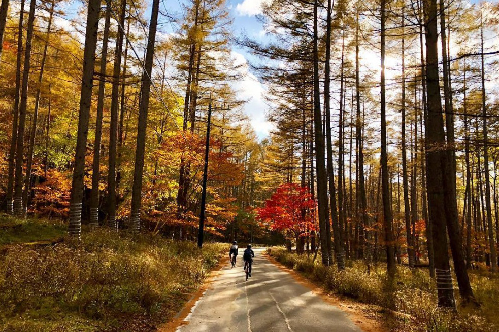 今しかない自然の美しさに心が健やかになるサイクリング「秋深まる日光ライド」