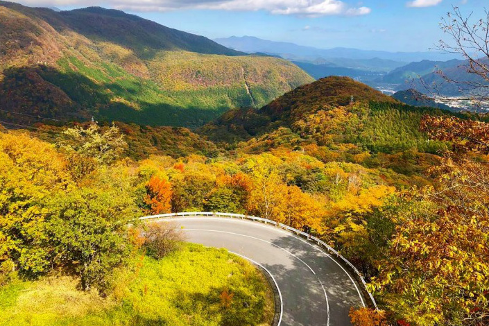 色鮮やかな赤や黄色に染まる紅葉を楽しめる