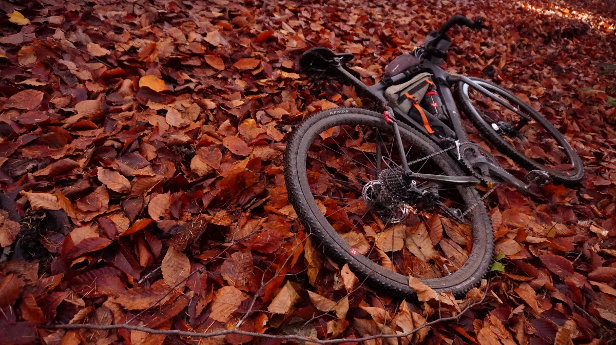 落ち葉とグラベルバイク。相性の良い組み合わせだ