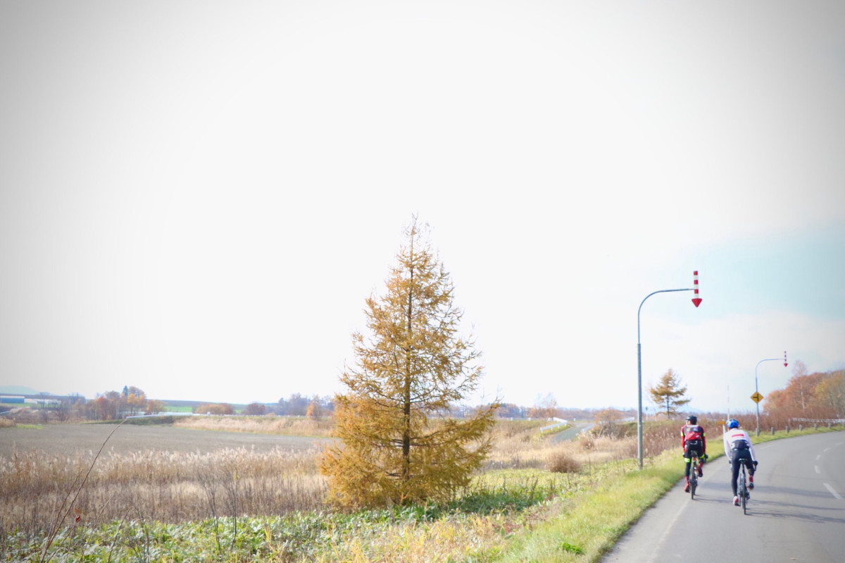 どこまでも広い景色が広がる北海道。その魅力が詰まったのがオホーツクエリアだ。　