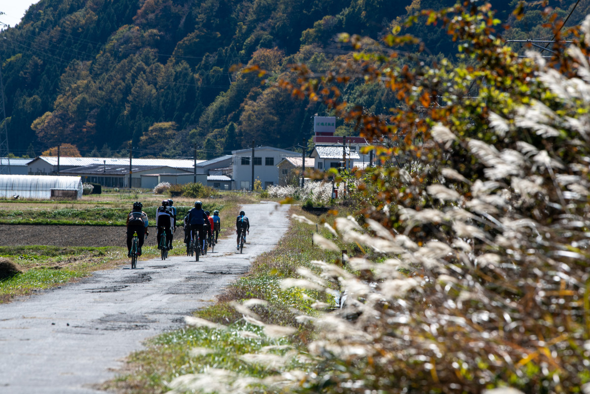 ススキがたなびく田舎道　風情たっぷりである