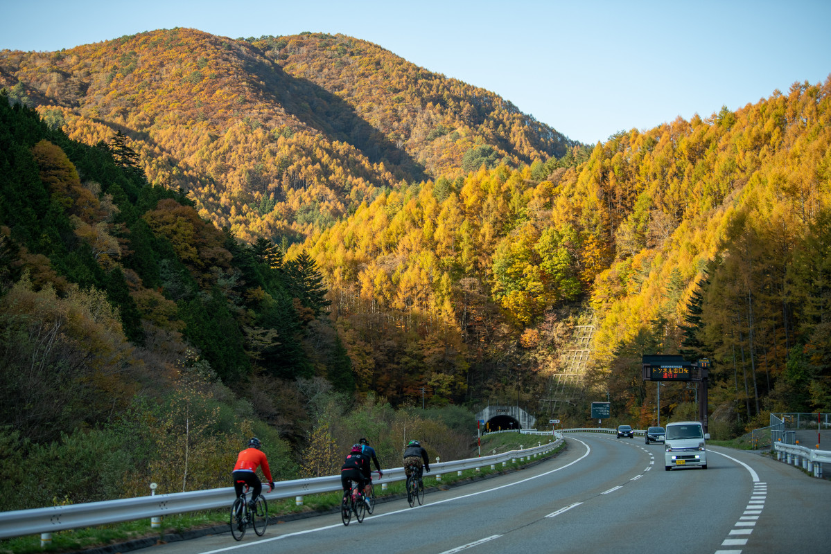 黄色に色づく秋の山へ向けて走っていきます。トンネルが無ければ、あの山を越えないといけないんですよね……