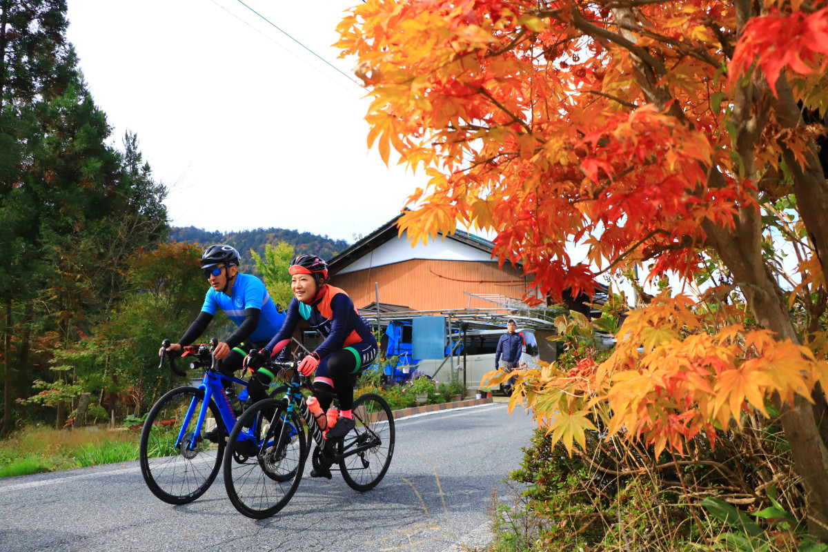 美しく色づいた紅葉。寒さもあって、一足早く色づいているようでした