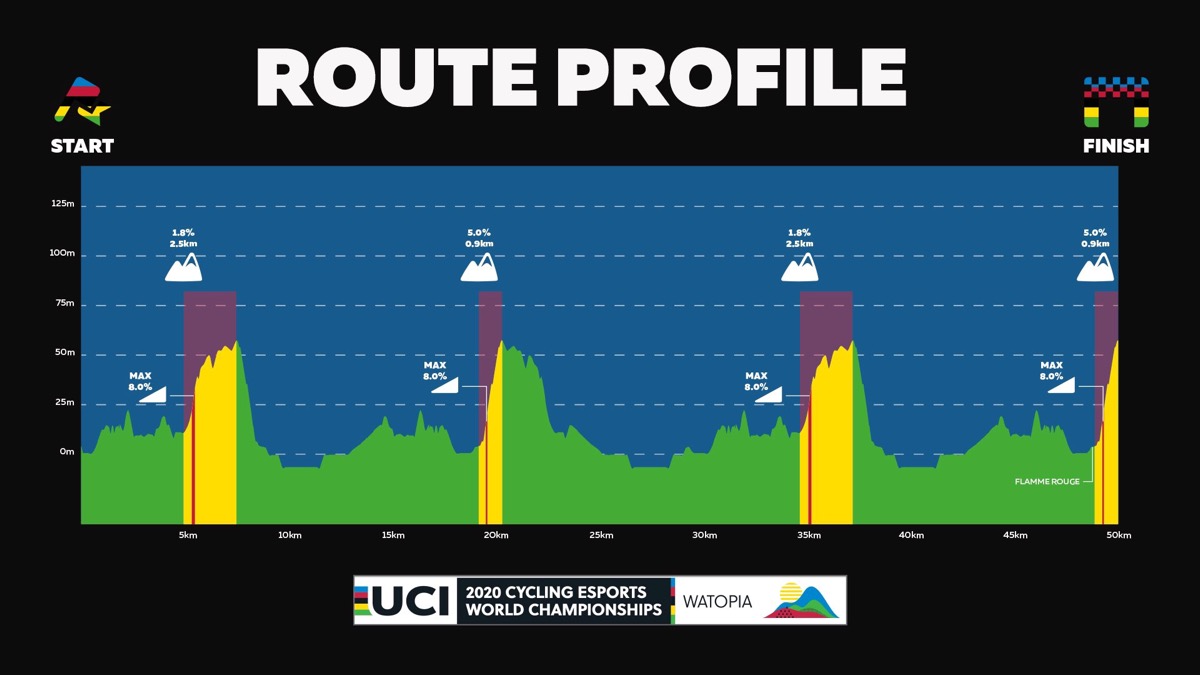 レースはワトピアを使った50km