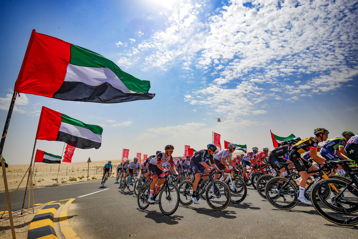 アラブ首長国連邦の国旗が砂漠に翻る Cyclowired