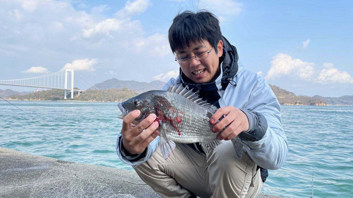 地元の方がチヌ（黒鯛）を釣り上げていた