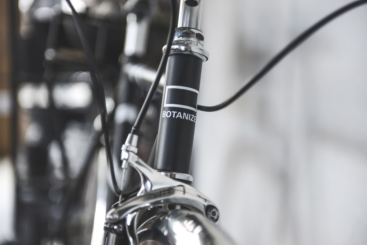 ライトウェイ STYLES 塊根植物ブランドBOTANIZEとコラボした
