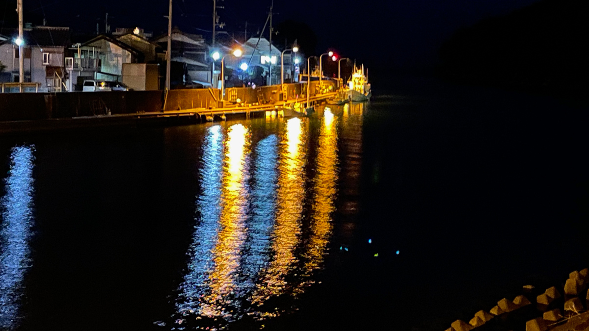 可愛らしい日和佐の漁港の夜景