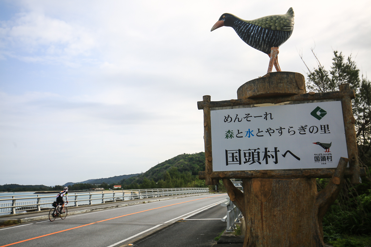 ヤンバルクイナの里、国頭村へ