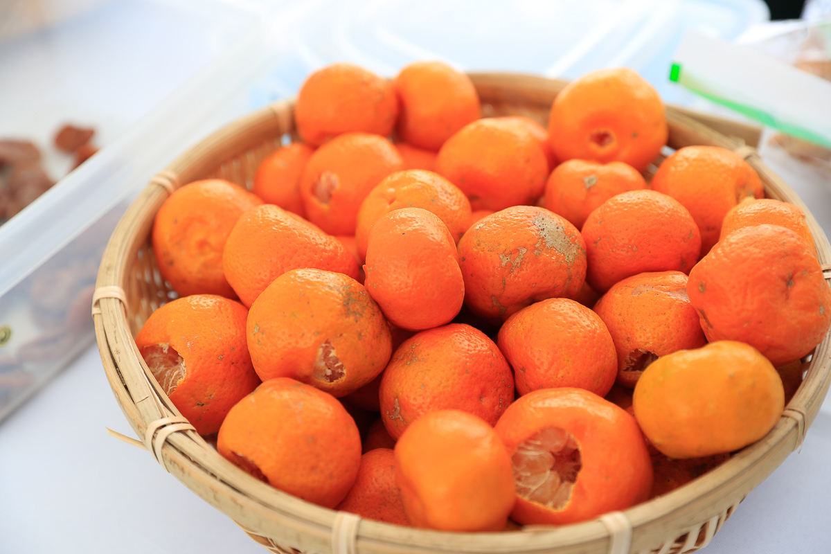 やんばるの柑橘類は野性味たっぷりで甘い！