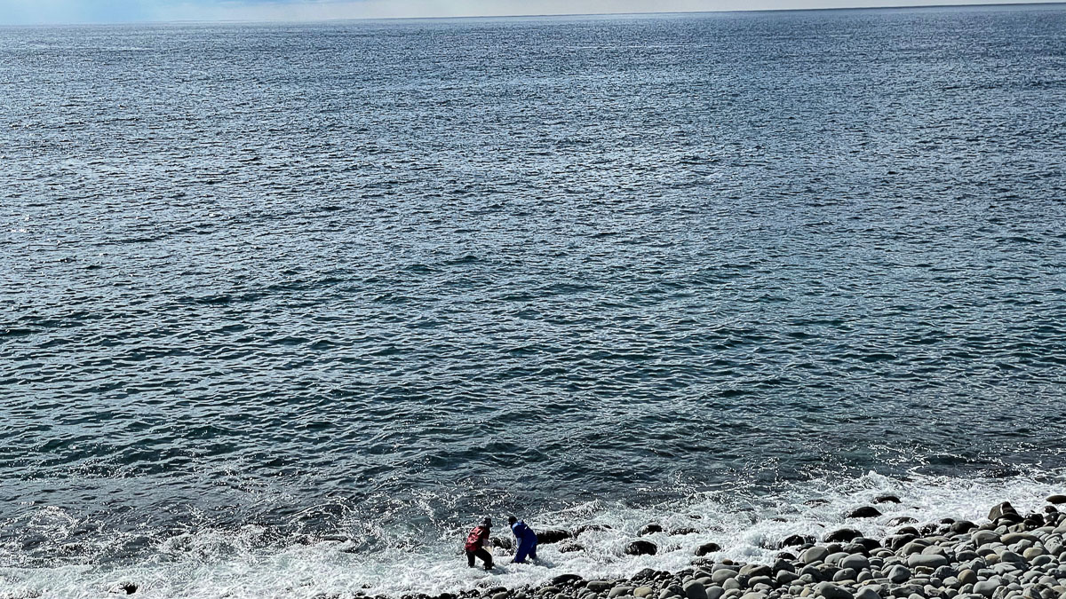 海岸で何かを採る漁師の姿が眺められた