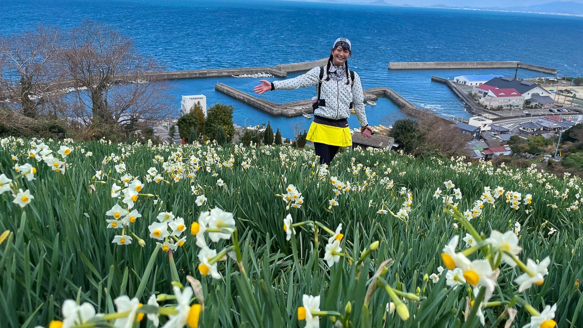 漁港を見下ろす水仙のお花畑「日本水仙花開道」