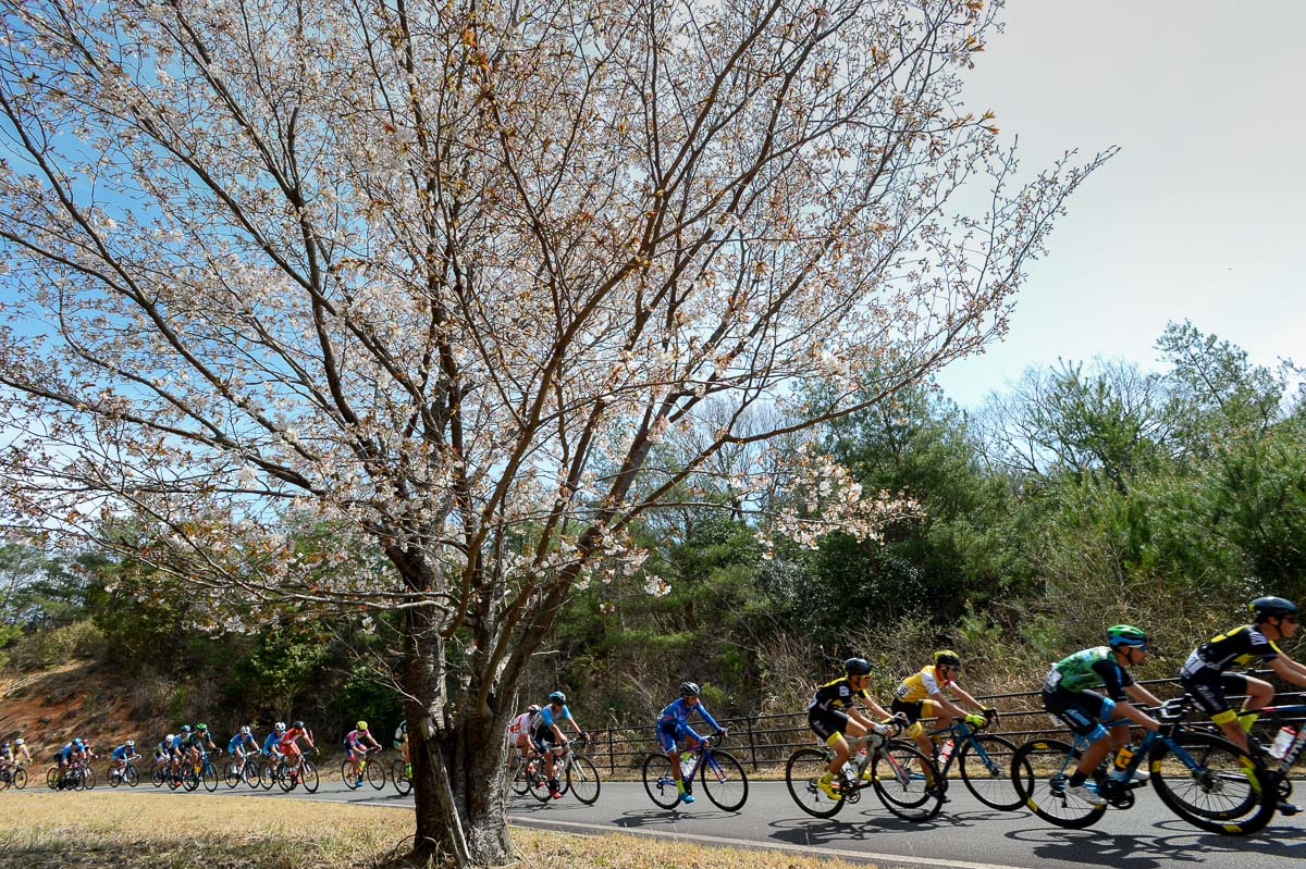 大会名の通り、桜の咲く時季に開催された「広島さくらロードレース」