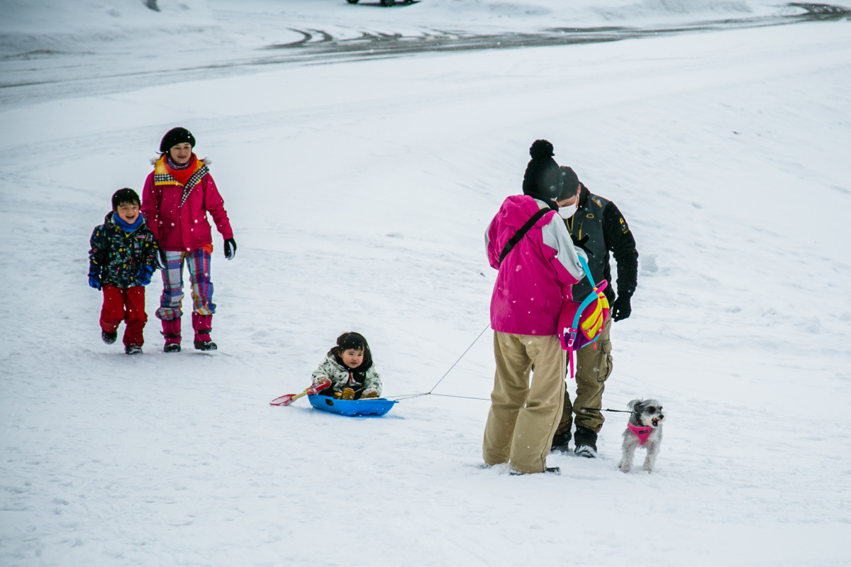 なんと犬ぞりに乗った子供も登場。北海道、すごい。