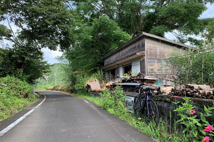 自転車専用道に入ると早々に現れたのは