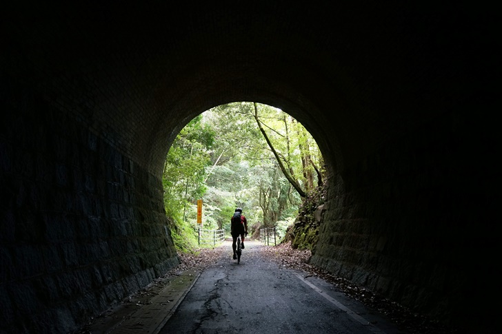 山国川に沿って走っていた耶馬溪線にはけっこうトンネルも多くて、鉄道ムード満載で飽きることがありません(笑)