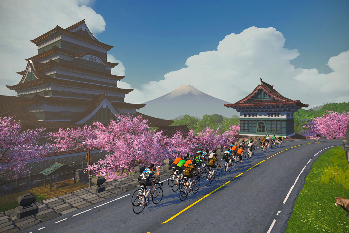 お城や神社、満開の桜など日本を感じるコース