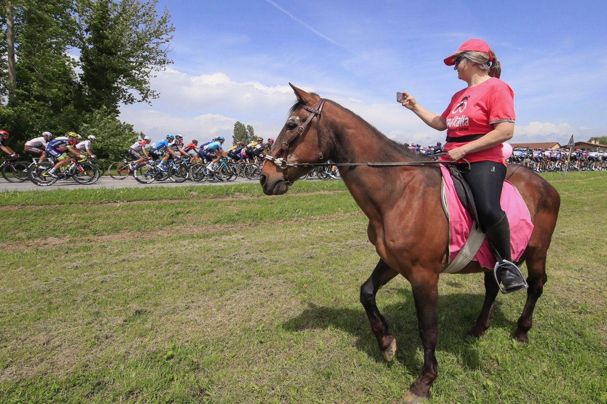 マリアローザを着た馬とともに観戦