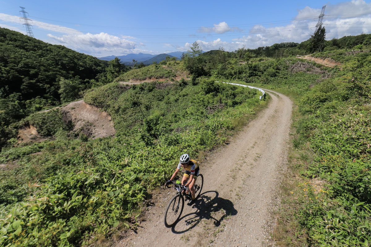 晴れ渡る空が開ける林道からは広い山域が見渡せた