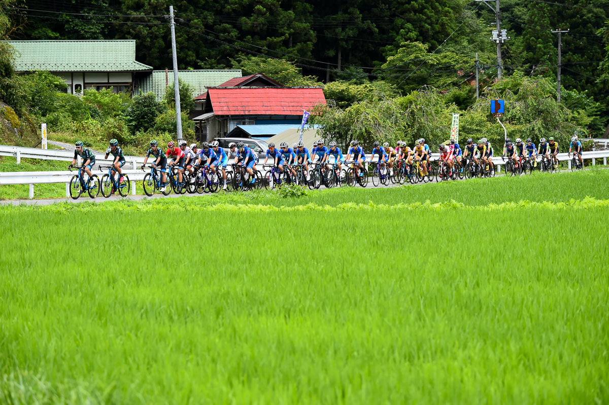 青々とした水田の中を進む集団