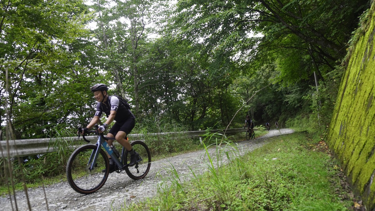 路面は踏み固められ走りやすい