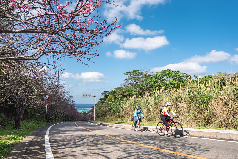 20kmと60kmの2つのコースが用意される