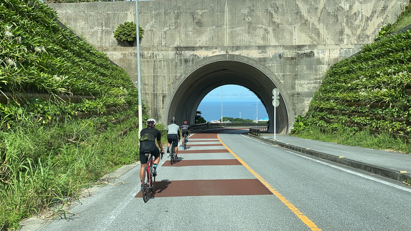 初心者も安心サポート付き「地元ガイドの厳選”道“探訪 快適e-Bikeで沖縄一周充実旅」