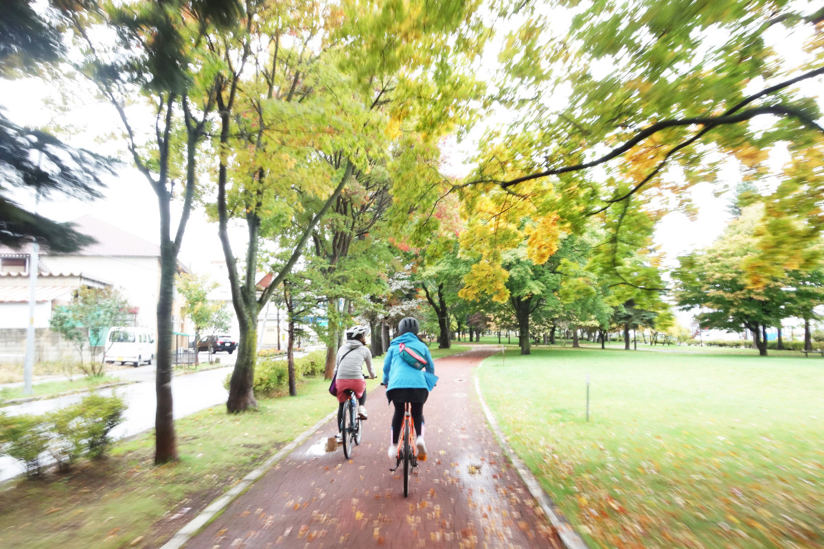 紅葉が始まった緑地帯をゆく