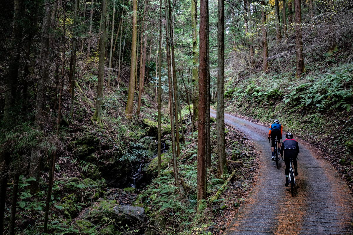 簡易舗装の林道を登る。息はあがり、会話もままならない時間が楽しい