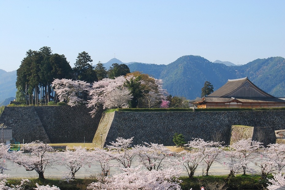 丹波篠山城跡