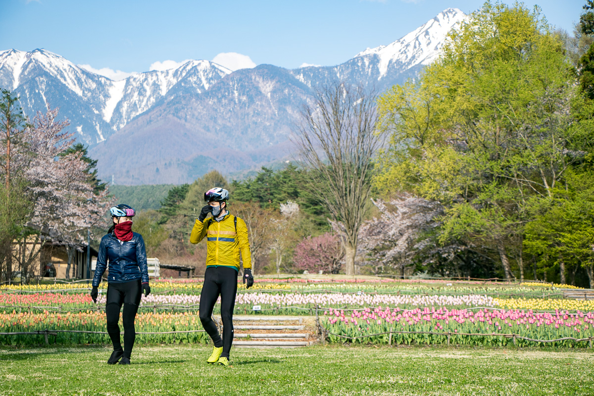 穂高エイドにはカラフルなチューリップ畑が待っている　桜だけでない華やかな春先の信州を楽しめる