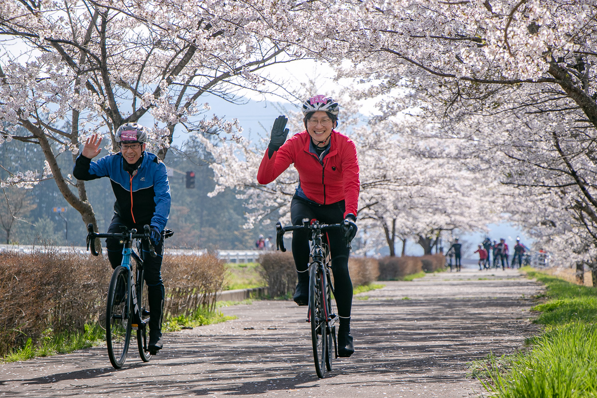 ルート上に桜が咲き誇る最高の季節だ